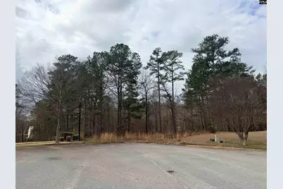 92 Cannonade Court, Irmo, SC 29063 - Photo 4