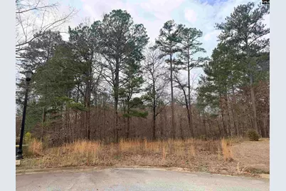 92 Cannonade Court, Irmo, SC 29063 - Photo 6