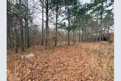 92 Cannonade Court, Irmo, SC 29063 - Photo 2