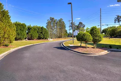 101 Rice Bent Way, Columbia, SC 29229 - Photo 6