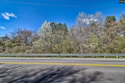 0 Smallstown Road, Winnsboro, SC 29180 - Photo 8