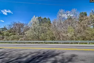 0 Smallstown Rd, Winnsboro, SC 29180 - Photo 10