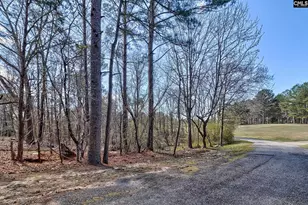 0 Smallstown Rd, Winnsboro, SC 29180 - Photo 4