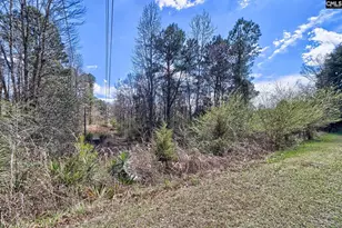 0 Smallstown Rd, Winnsboro, SC 29180 - Photo 6