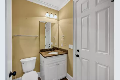 170 Summer Bay Drive, Chapin, SC 29036 - Photo 44