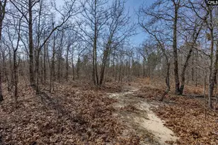 331 Freeman Dr, Gaston, SC 29053 - Photo 36