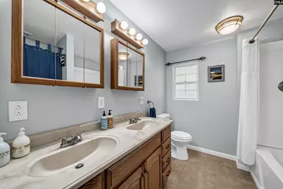116 Aloha Court, Gilbert, SC 29054 - Photo 42