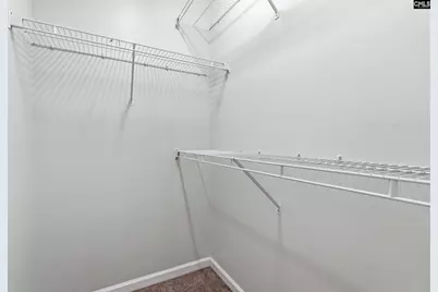 190 Elm Creek Drive, Chapin, SC 29036 - Photo 26