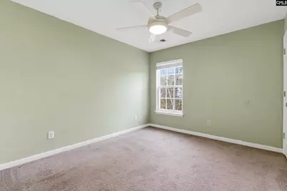 190 Elm Creek Drive, Chapin, SC 29036 - Photo 24