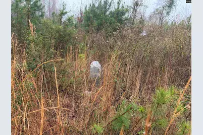 2566 William Brunson Crossroads, Summerton, SC 29148 - Photo 2