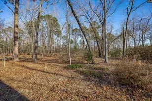 532 Burns Dr, Swansea, SC 29160 - Photo 34