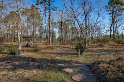 532 Burns Drive, Swansea, SC 29160 - Photo 38