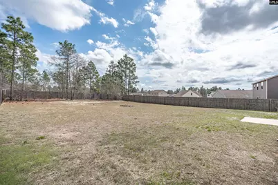 819 Winter Flower Drive, Lexington, SC 29073 - Photo 28