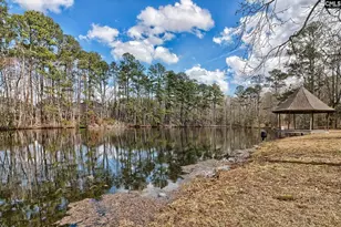 240 Turkey Farm Rd, Blythewood, SC 29016 - Photo 48