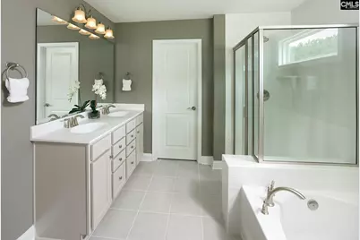 6 Borland Court, Chapin, SC 29036 - Photo 12