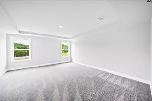 6 Borland Ct, Chapin, SC 29036 - Photo 40