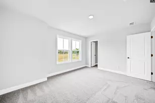 6 Borland Ct, Chapin, SC 29036 - Photo 30