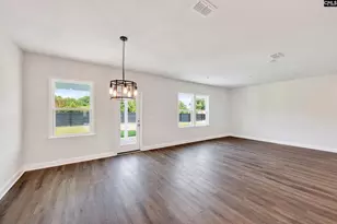 6 Borland Ct, Chapin, SC 29036 - Photo 8
