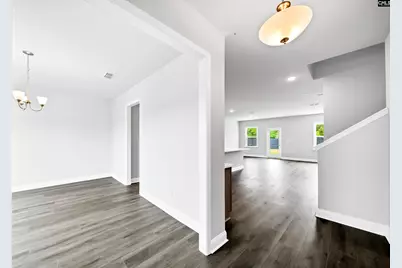 6 Borland Court, Chapin, SC 29036 - Photo 6