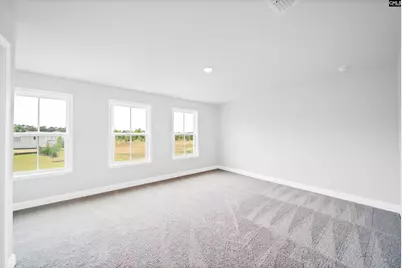 6 Borland Court, Chapin, SC 29036 - Photo 32