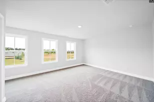 6 Borland Ct, Chapin, SC 29036 - Photo 32