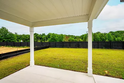6 Borland Court, Chapin, SC 29036 - Photo 46