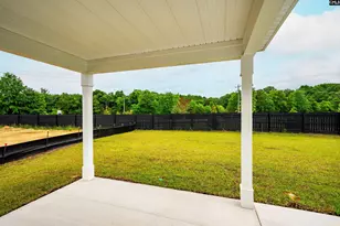 6 Borland Ct, Chapin, SC 29036 - Photo 46