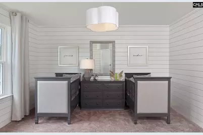 6 Borland Court, Chapin, SC 29036 - Photo 14