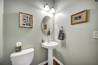 224 Millwright Drive, Lexington, SC 29072 - Photo 12