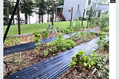 1317 Shore Road, Gilbert, SC 29054 - Photo 64