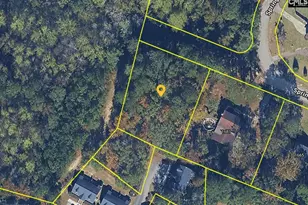 0 Spring Valley, Orangeburg, SC 29115 - Photo 1