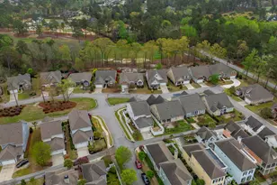 250 Thacher Loop, Elgin, SC 28902 - Photo 66