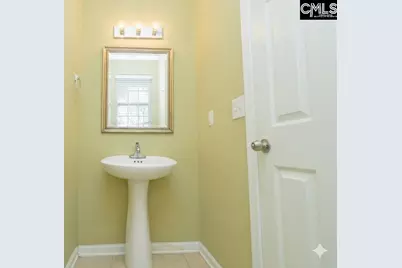 152 Mesa Verde Drive, Lexington, SC 29073 - Photo 16