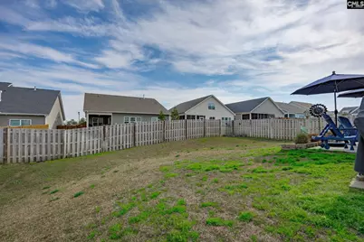 820 Dutchmaster Drive, Chapin, SC 29036 - Photo 46