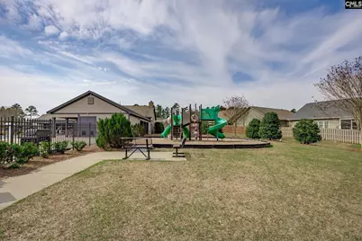 820 Dutchmaster Drive, Chapin, SC 29036 - Photo 48