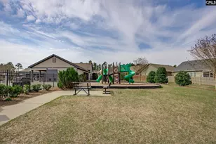 820 Dutchmaster Dr, Chapin, SC 29036 - Photo 48
