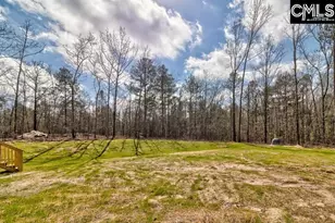 228 Water Tank Rd, Pelion, SC 29123 - Photo 24
