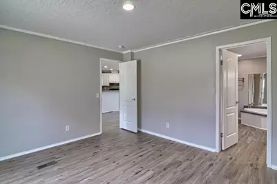 228 Water Tank Road, Pelion, SC 29123 - Photo 4