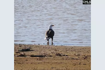 1792 Sailing Club Road, Camden, SC 29020 - Photo 2