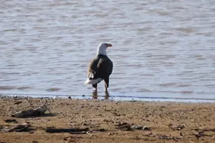 1792 Sailing Club Rd, Camden, SC 29020 - Photo 2