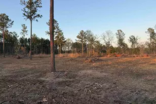 158 Bundrick Rd, Winnsboro, SC 29180 - Photo 1