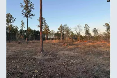 158 Bundrick Road, Winnsboro, SC 29180 - Photo 4