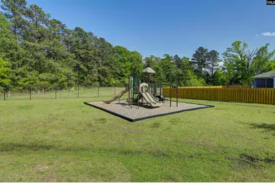 436 N Cobia Court, Irmo, SC 29063 - Photo 16