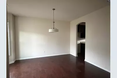 1128 Grey Pine Drive, Blythewood, SC 29016 - Photo 4