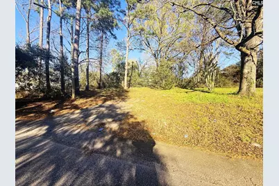 113 Duke Avenue, Columbia, SC 29203 - Photo 2