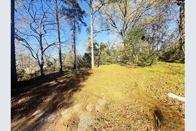 113 Duke Avenue, Columbia, SC 29203 - Photo 4