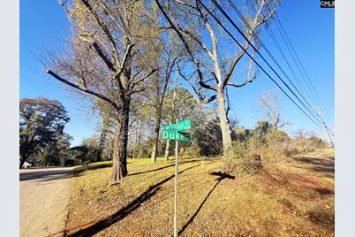 113 Duke Avenue, Columbia, SC 29203 - Photo 6