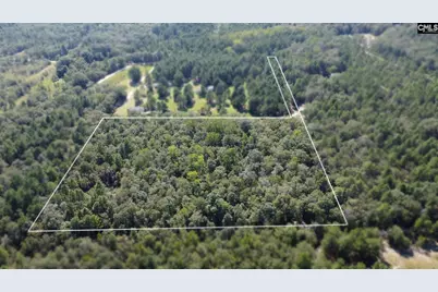 Bubba Gunter Road, Wagener, SC 29164 - Photo 2