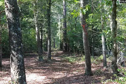 Bubba Gunter Road, Wagener, SC 29164 - Photo 8