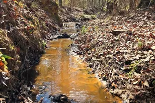 1354 Horsehead Rd, Lugoff, SC 29078 - Photo 48